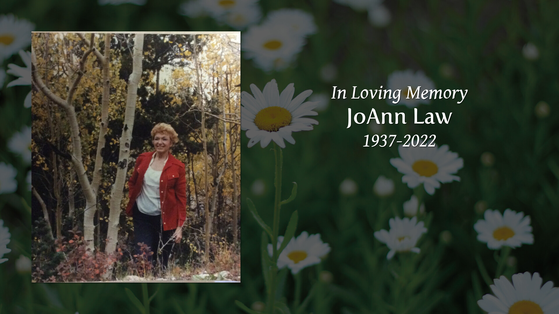 JoAnn Law Tribute Video