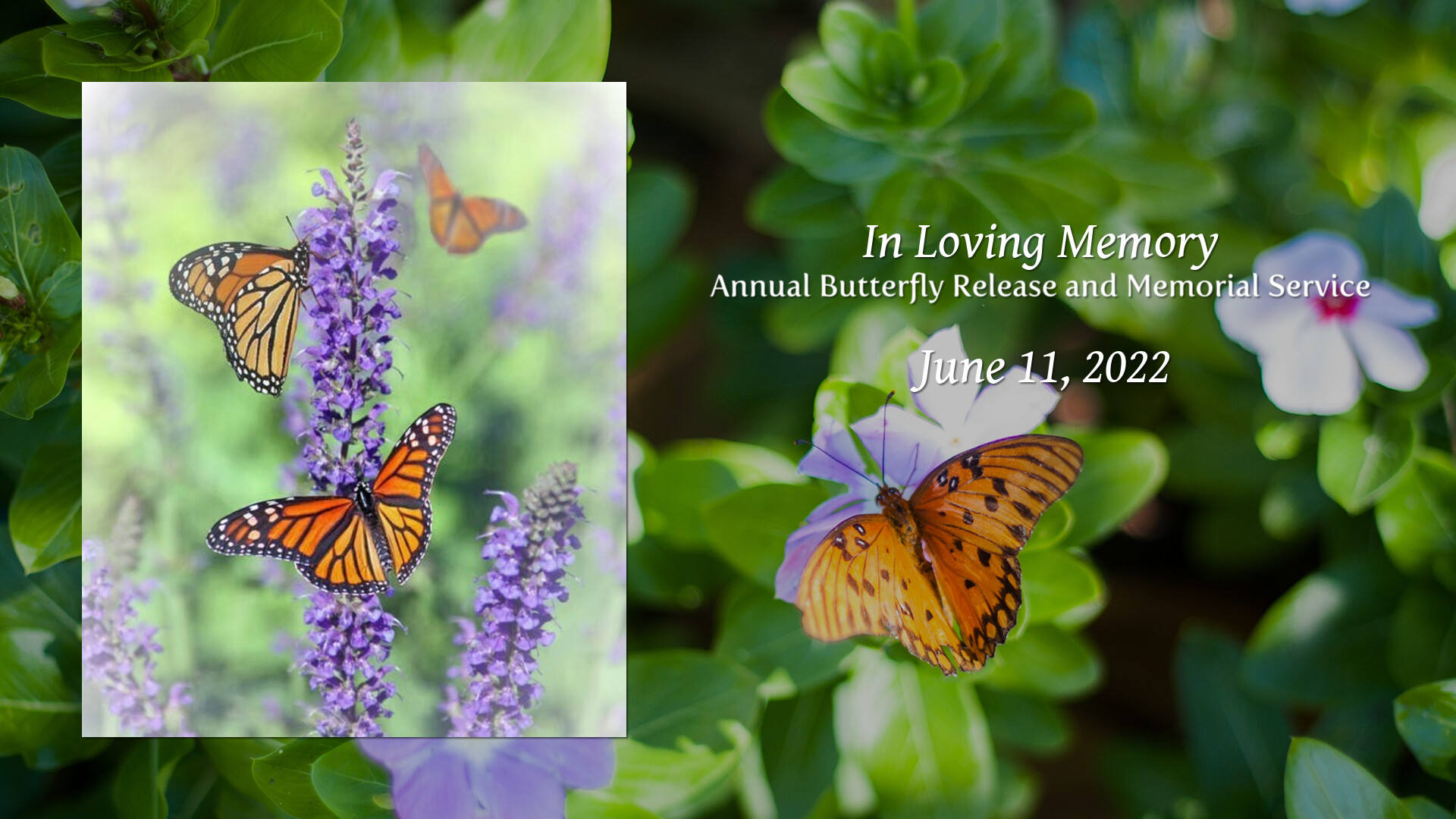 Annual Butterfly Release and Memorial Service Tribute Video