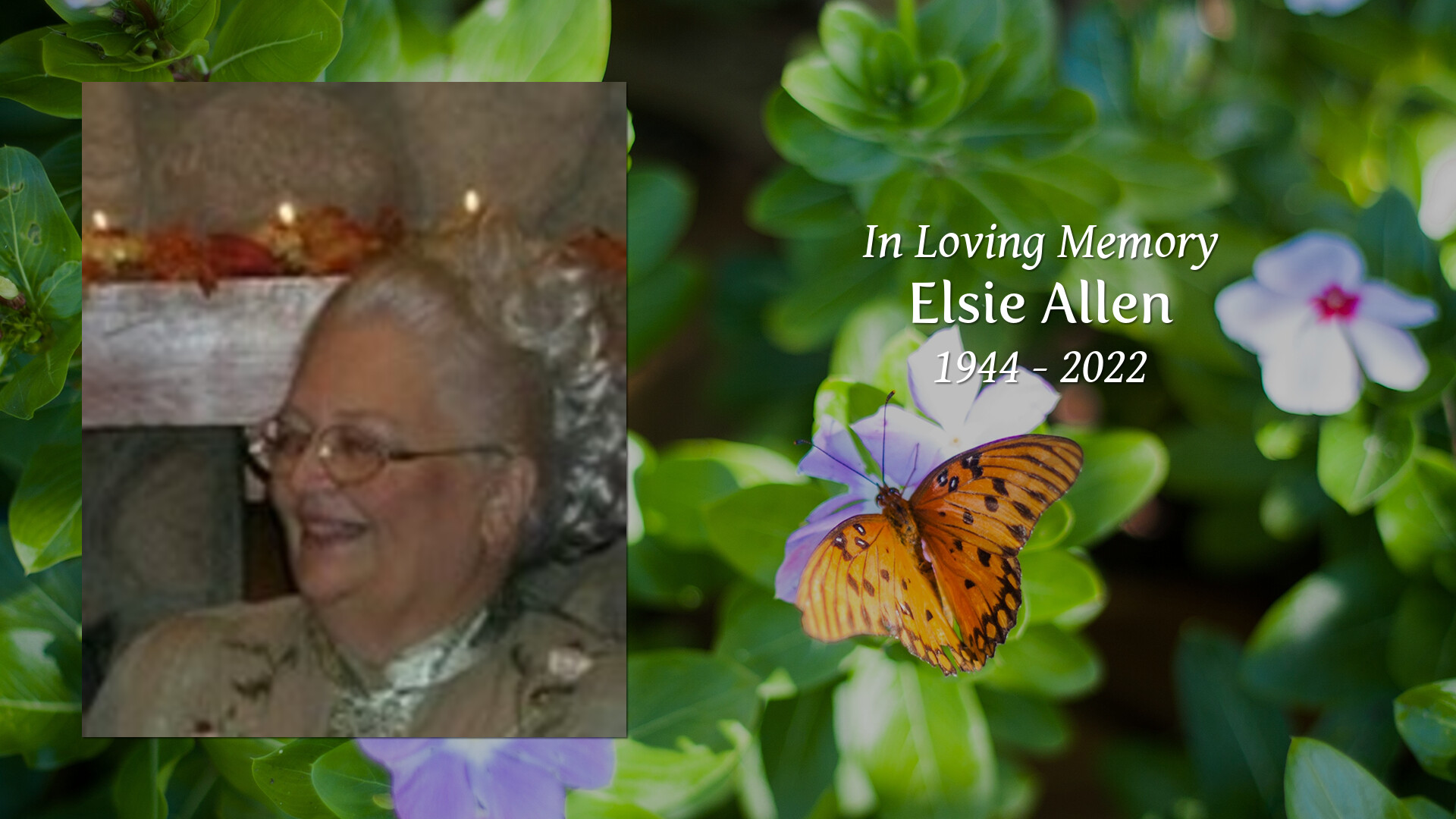 Elsie Allen Tribute Video