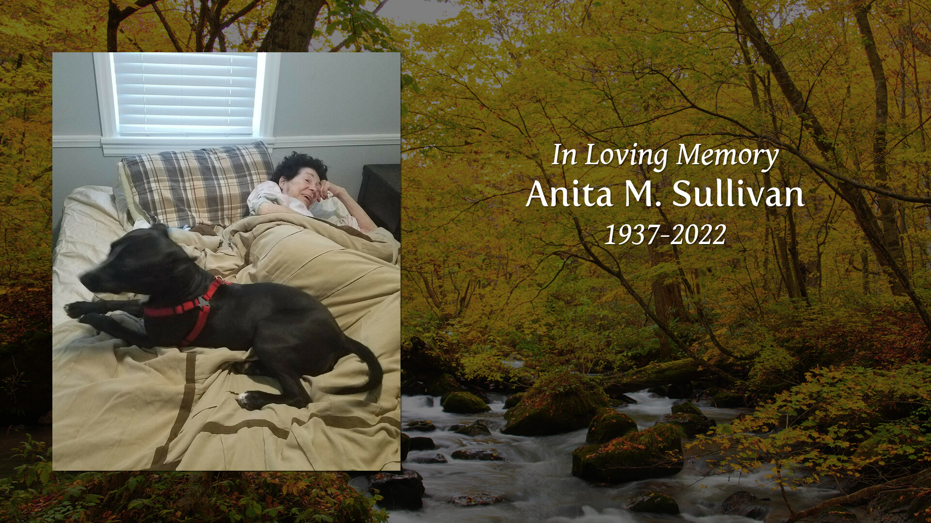 Anita M. Sullivan Tribute Video