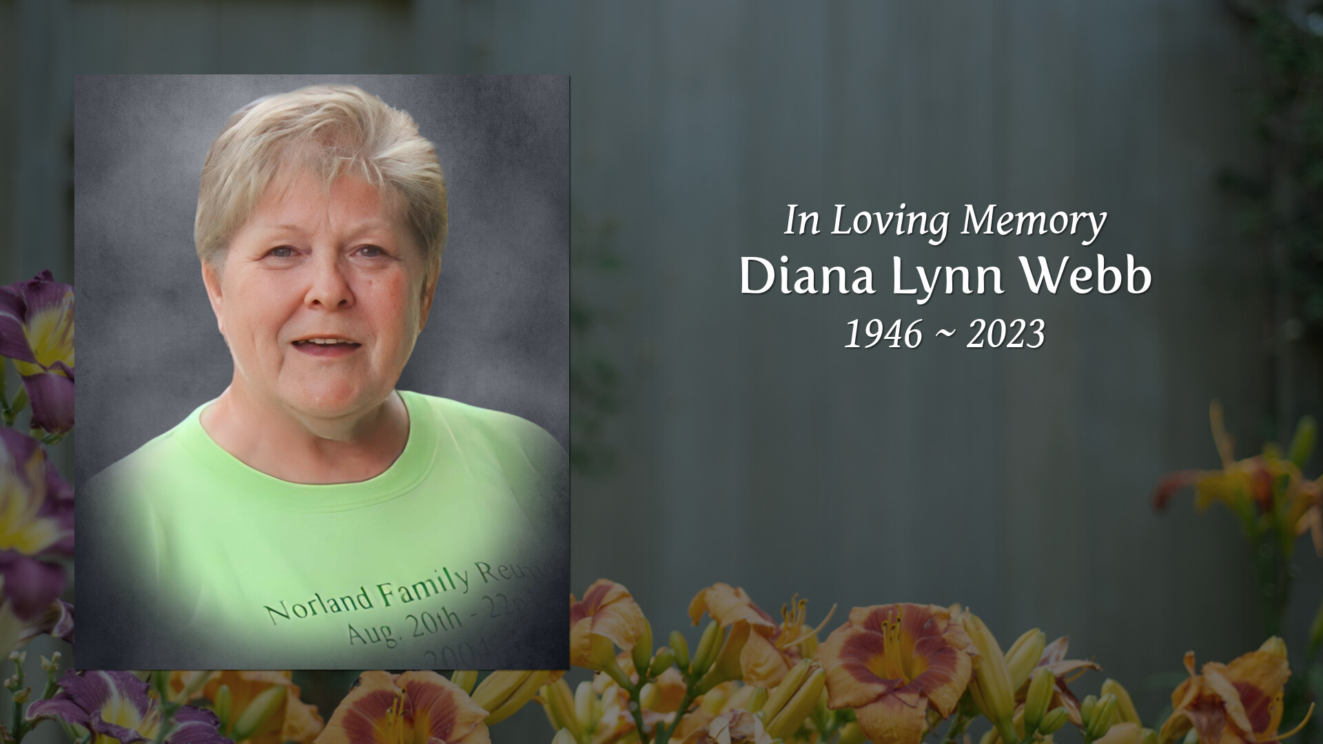 Diana Lynn b Tribute Video