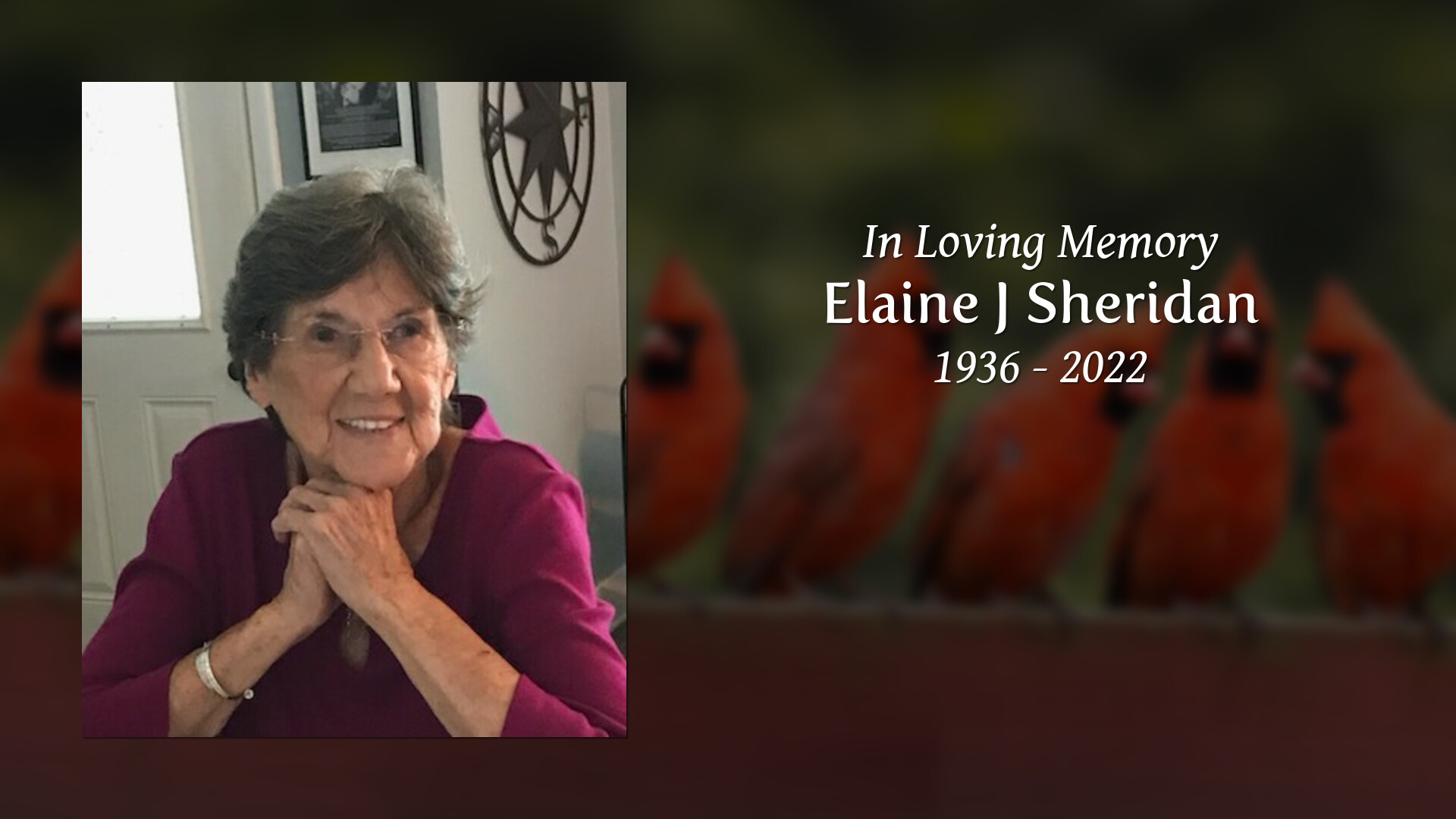 Elaine J Sheridan Tribute Video