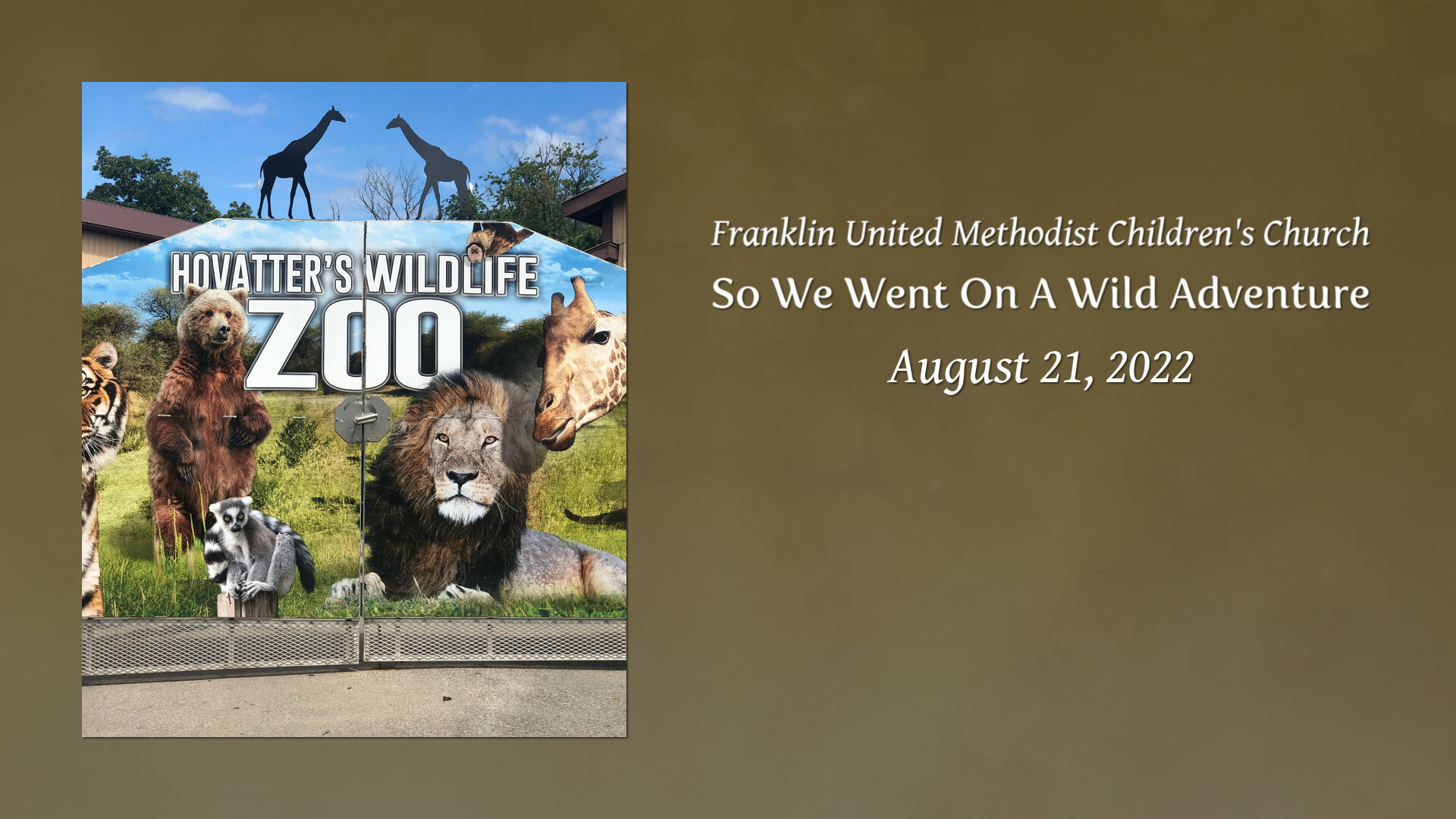 So We Went On A Wild Adventure Tribute Video