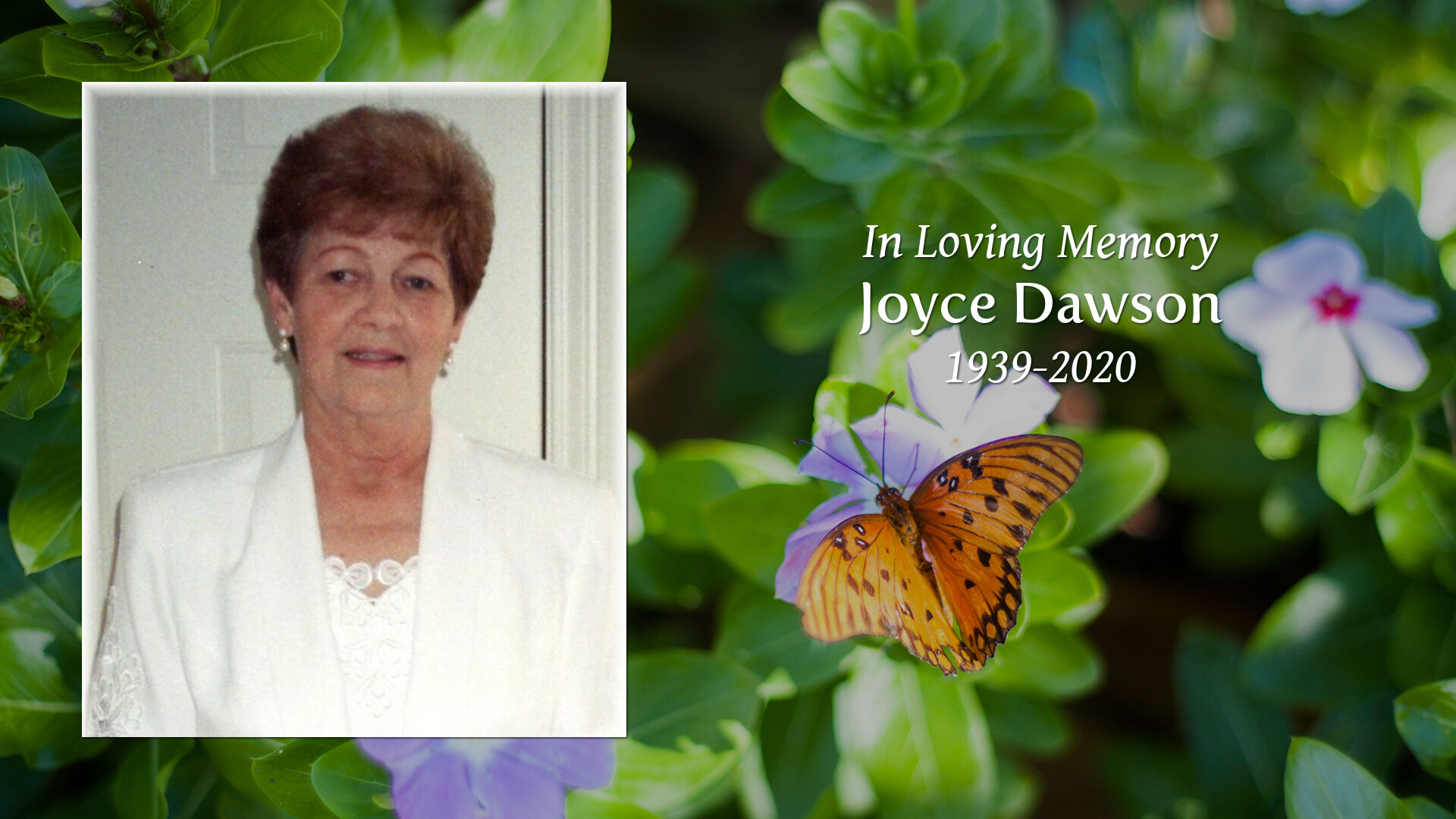 Joyce Dawson Tribute Video