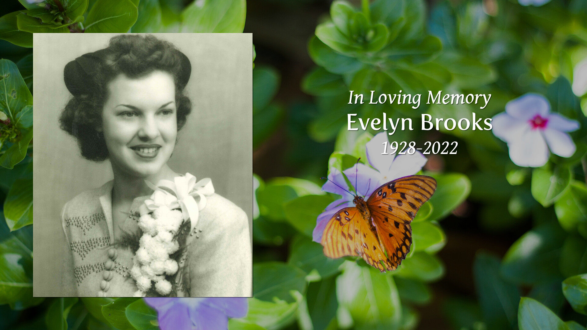 evelyn-brooks-tribute-video