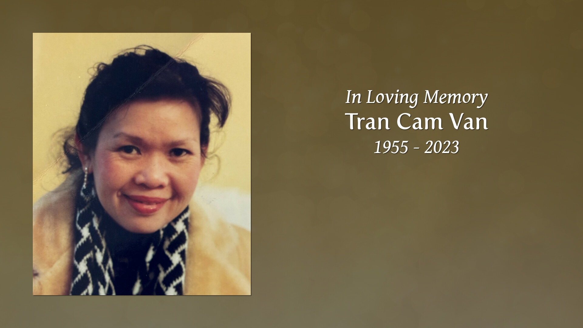 Tran Cam Van - Tribute Video
