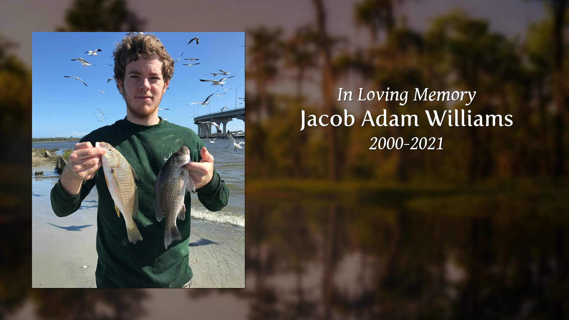 Jacob Adam Williams Tribute Video